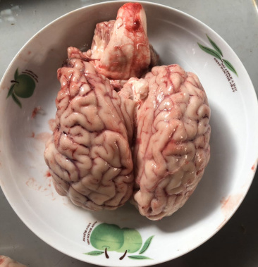 新鲜牛脑大公牛 每个在一斤以上