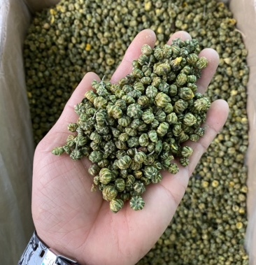 花茶胎菊王胎菊米清热凉火