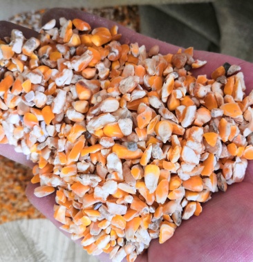 活动价格不高 碎玉米下脚料 厂家直销一手货源