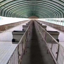 专业生产各类种植大棚骨架养殖钢架大棚骨架全国发货