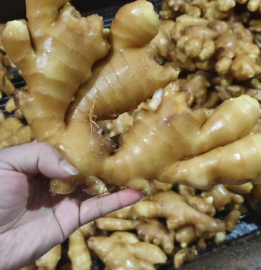 水洗姜大量供货中!需要的老板与我联系!供商超,市场,饭店