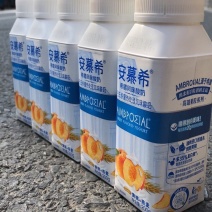 特价.伊利安慕希牛奶酸奶35.5/箱