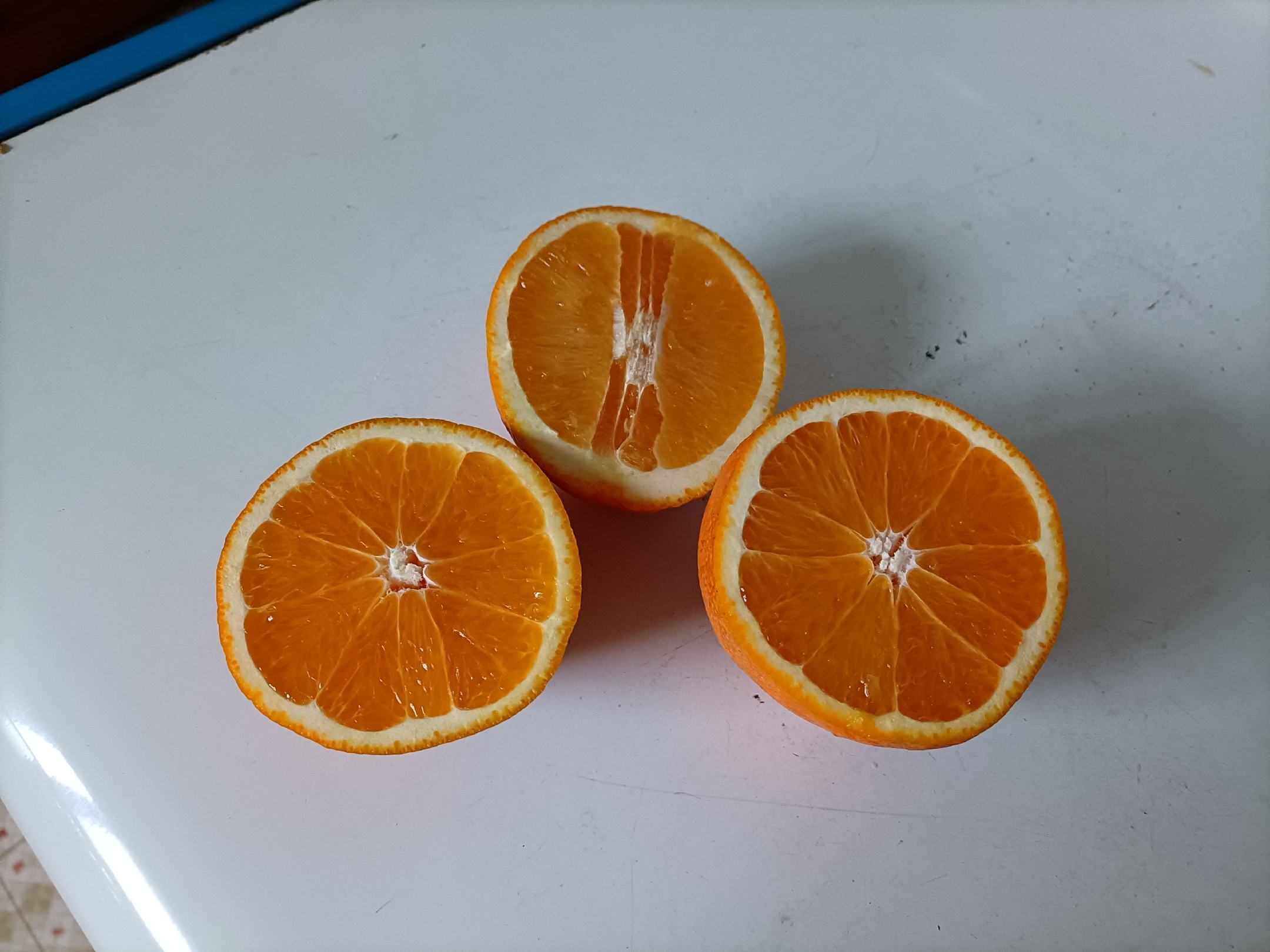 早金甜橙果实特写