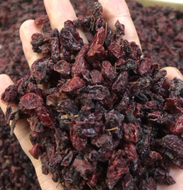 汉中地产枣皮优质优价