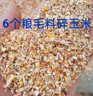 大量供应碎玉米干玉米碎小麦各种养殖下脚料