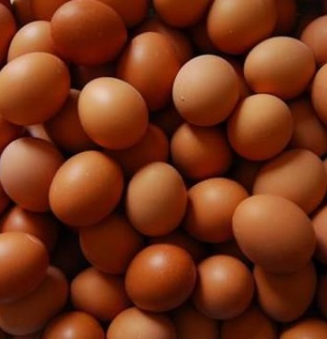 正宗五鸡谷鸡蛋红壳鸡蛋无药残无抗生素无病菌