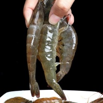 新鲜大虾超大新鲜冷冻海鲜深海虾青虾冻虾整箱