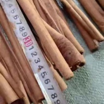 广西去皮长烟桂，可锯85cm5等长度