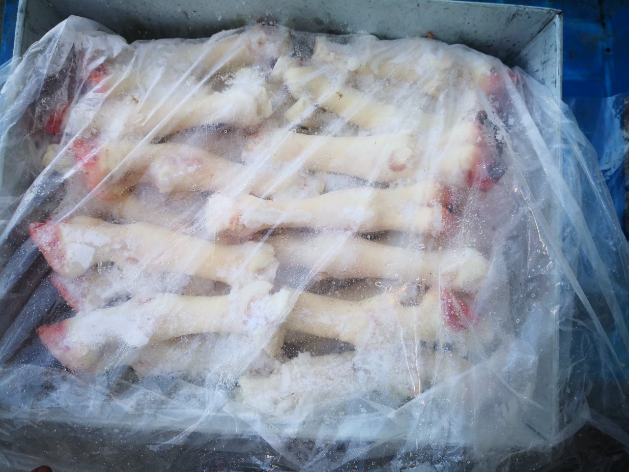 苏尼特白条羊在冷链运输中的包装状态