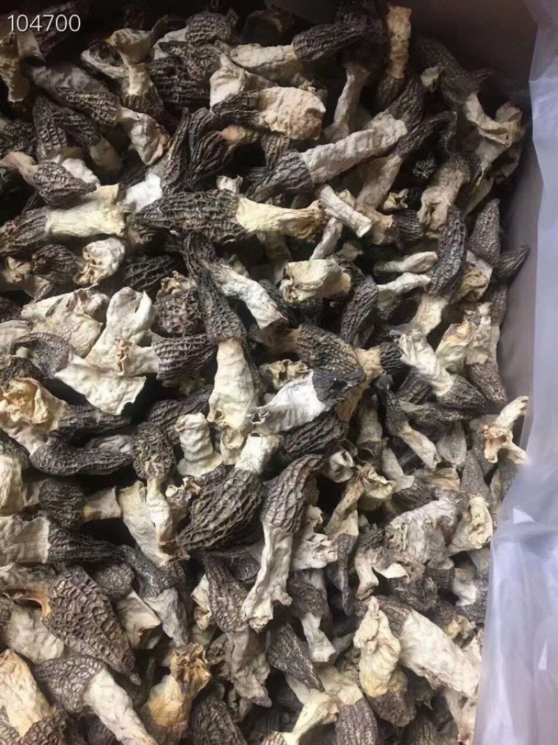 2021年长柄羊肚菌经济款羊肚菌