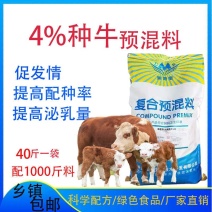 繁殖母牛预混料种牛饲料西门塔尔夏洛莱鲁西黄牛利木赞母牛饲