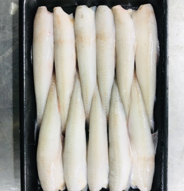 东海龙头鱼丝丁鱼豆腐鱼