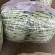 山东菏泽四季豆。芸豆油豆。大白
