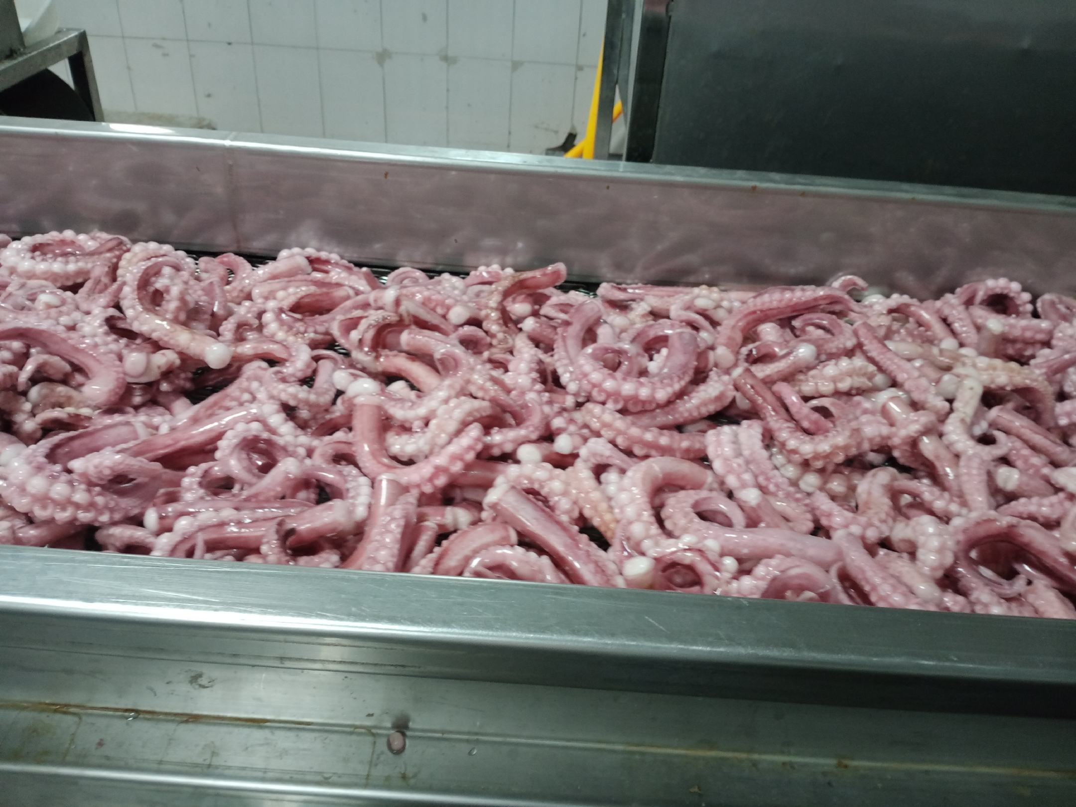 鱿鱼制作过程图