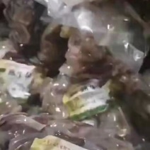 优质熟牛杂，一手货源，现货出售！欢迎新老朋友关注及下单！