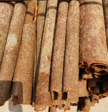 肉桂皮肉桂之乡产地直供品质保证货源充足欢迎客商前来采购