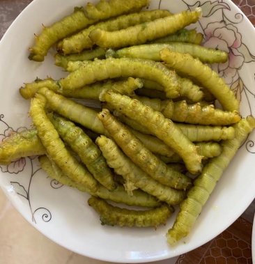 [豆丹批發]豆丹養殖 ,豆丹是灌雲特產,富有很高的蛋白質,養好回收價格