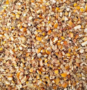 常年供应碎玉米碎小麦各种下脚料豆粕小料