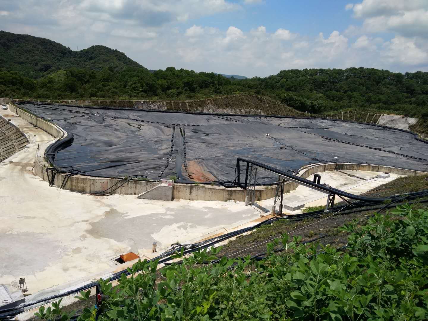 白对虾养殖水质检测与调控系统