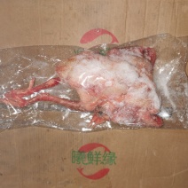 6-7两精品冻鸽子价格超低