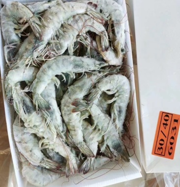 桑塔盐冻大虾1.65×6