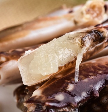 蟹钳鲜活冷冻梭子蟹腿梭子蟹钳