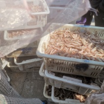 立虾鹰爪虾红虾。。。。。。。。（书名立虾）。。