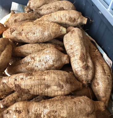 云南红土葛根无渣口感甘甜藤县粉葛档口散卖回头率膏