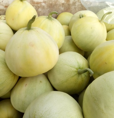 [甜宝甜瓜批发]自产自销价格5.00元/斤 - 一亩田