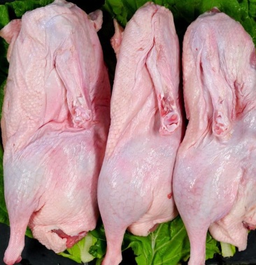 麻鸭番鸭鹅 新鲜现杀 真空包装冷冻快递 顺丰包邮