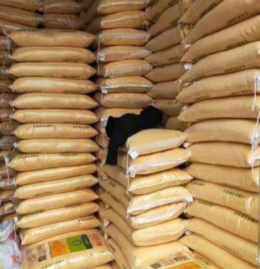 [玉米批发]优质玉米一万吨即将以福利价问世价格2600.