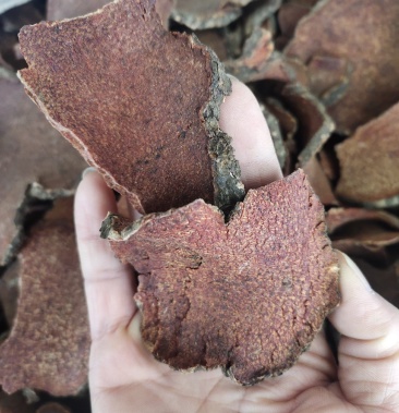 [红药子批发]野生中药材红药子 红药子片广西地产货,一手货源价格8.