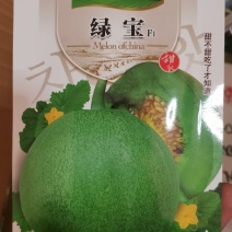 【优质】绿宝甜瓜种子脆甜多汁香味浓郁好吃好卖