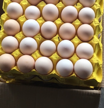 [鸡蛋批发]生态高原蛋(红心)量大从优价格4.50元/斤 - 一亩田