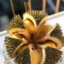 泰国果园榴莲，顺丰包邮到家