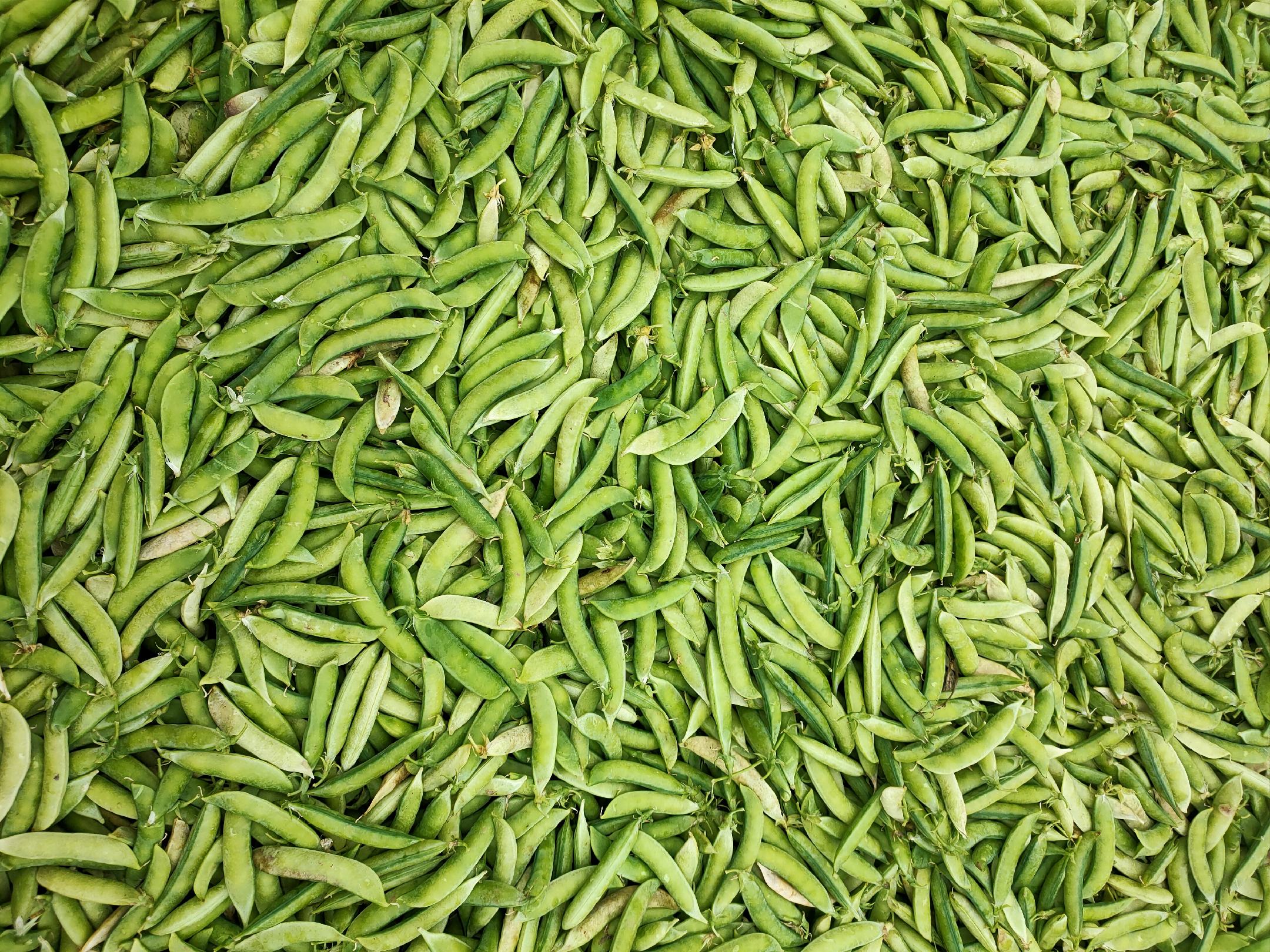 豌豆花与豌豆尖搭配的烹饪场景