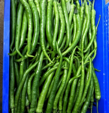 [线椒批发]8号线椒价格1.10元/斤 - 一亩田