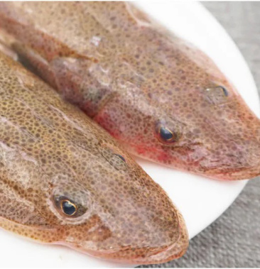 狗腿鱼牛尾鱼海鲜水产辫子鱼 鲜冻新鲜海鲜辫子鱼