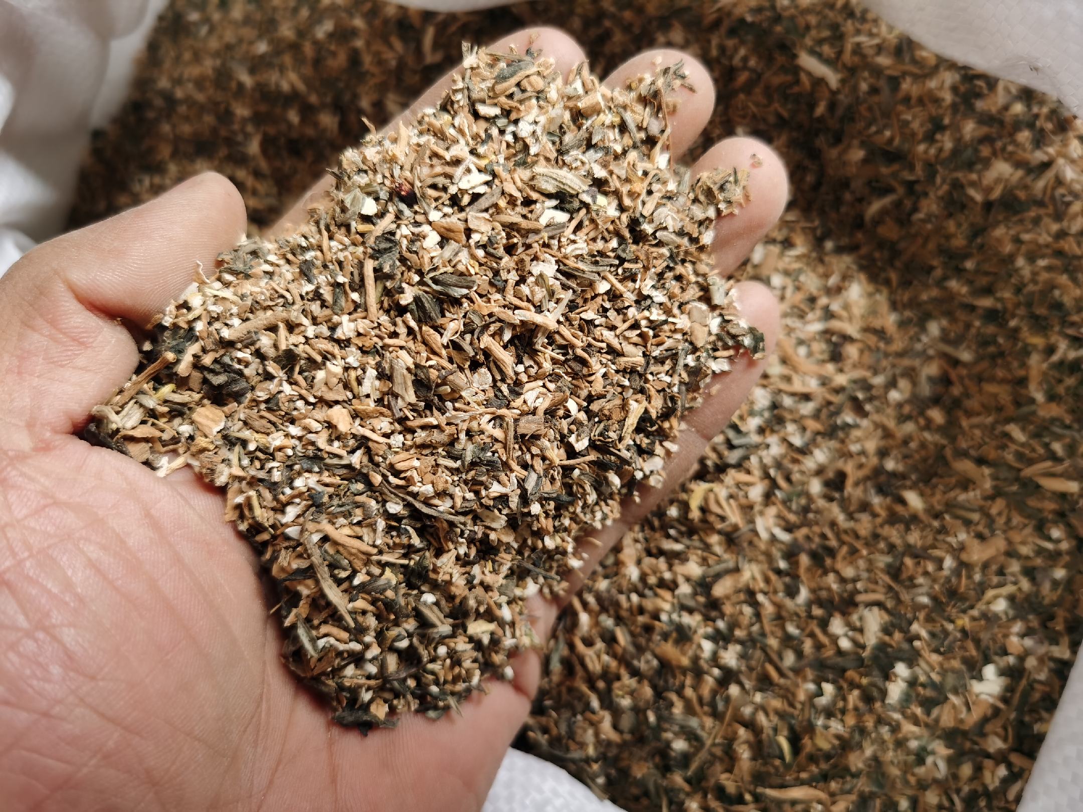 科研实拍图:洁净实验室工作台,一台高效液相色谱-质谱联用仪(HPLC-MS)正在运行,电脑屏幕显示黑胡椒根甲醇提取物的典型色谱峰图,旁置3支标有'Root Extract 10mg/mL'的棕色样品瓶,台面整洁,戴手套的手部入镜,体现严谨科研氛围 实验室场景:研究人员正在操作液相色谱仪分析黑胡椒根提取物成分谱