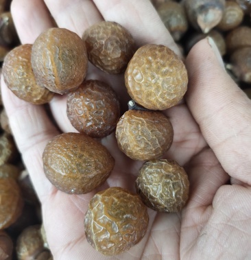 中药材洗手果 野生无患子 圆肥皂果