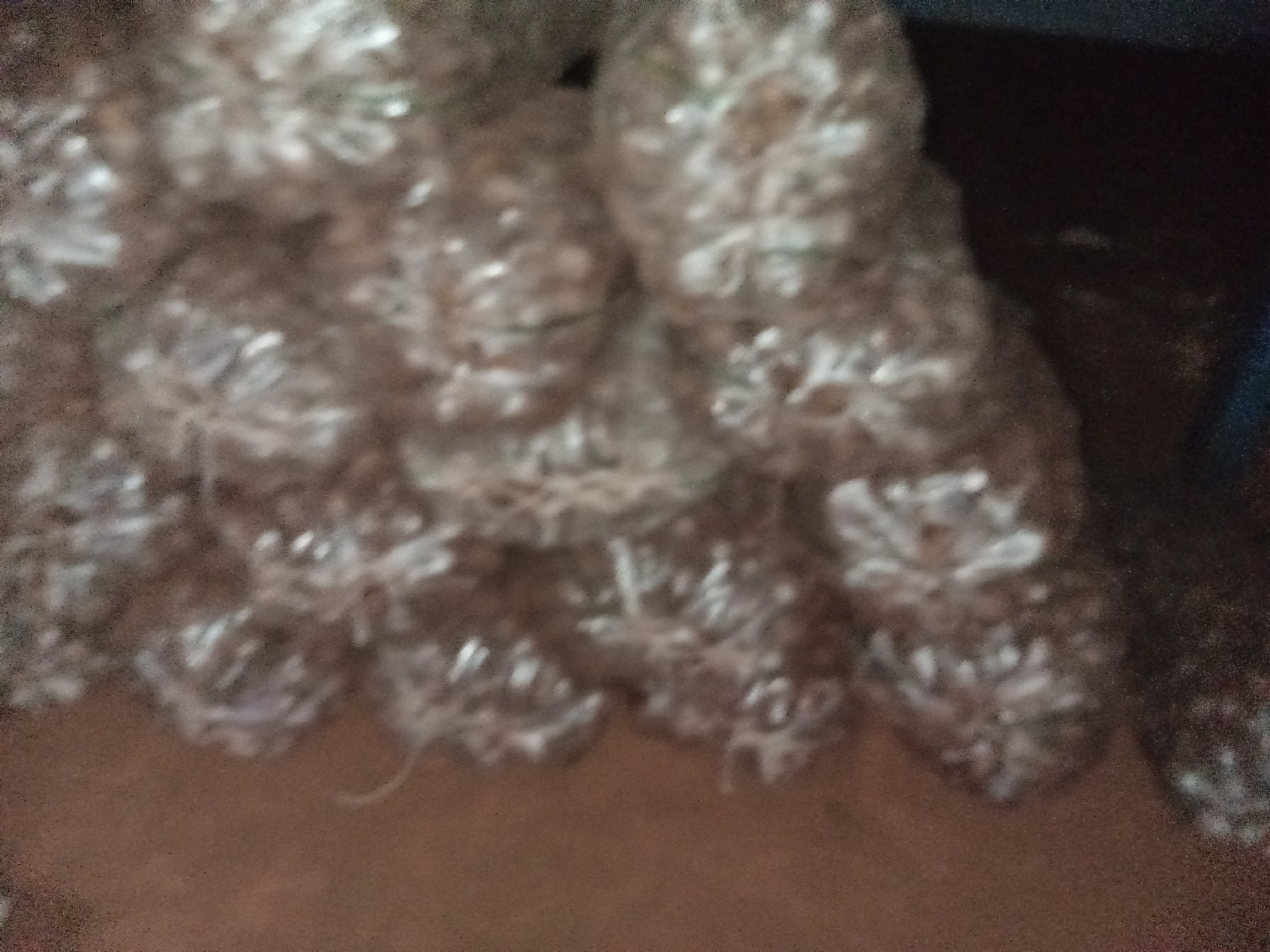 双层包裹完成的毛芋头：保鲜膜紧贴芋身泛出水润光泽，外层锡纸呈螺旋纹路缠绕，顶部可见3个微小针孔