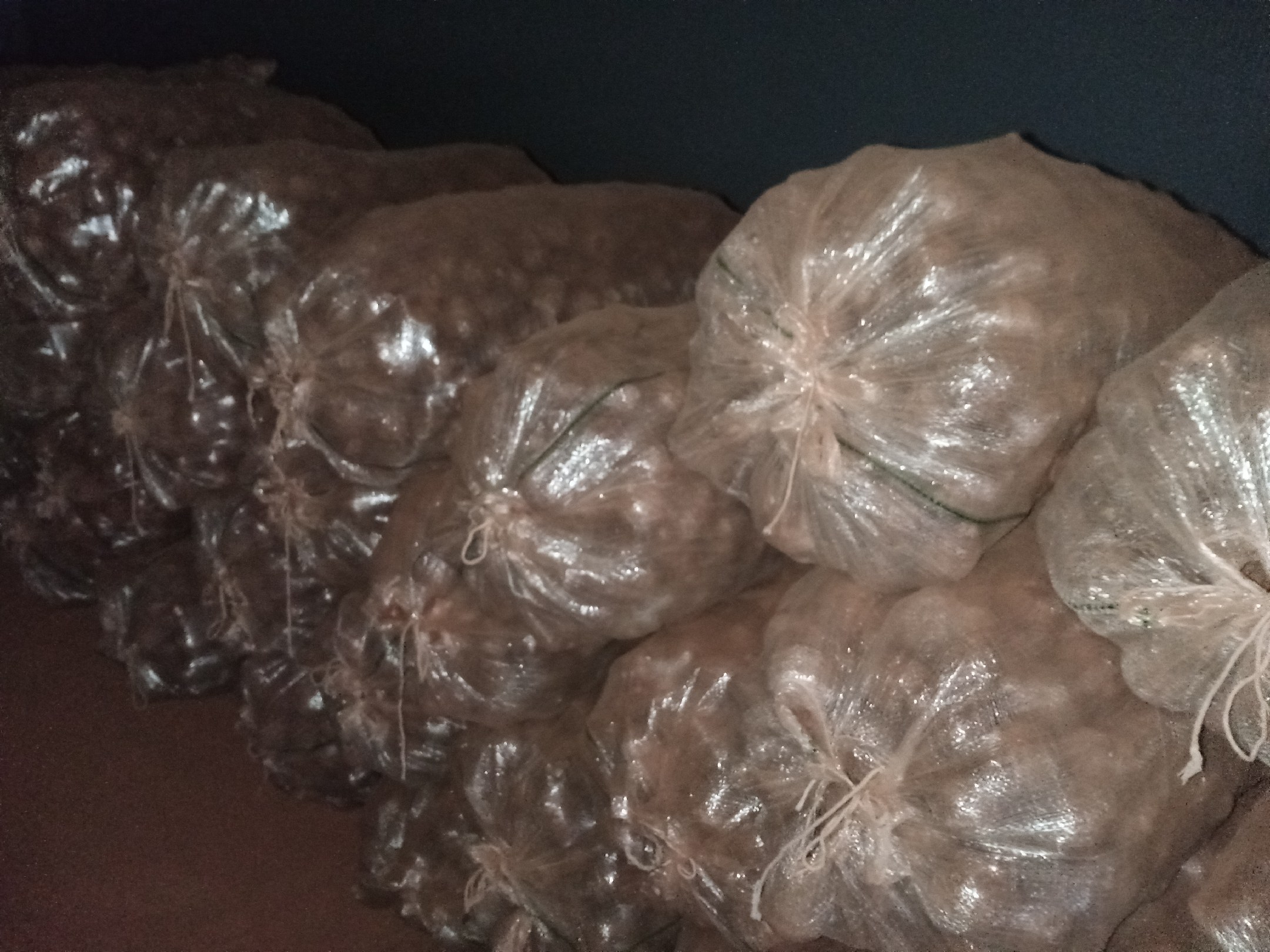 香芋存放在通风纸箱中