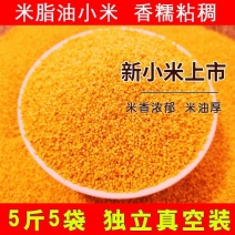 优质蛋白质含量丰富小米黄米