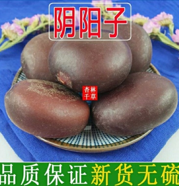 云南野生中药材阴阳子龙凤子肾树宝包邮