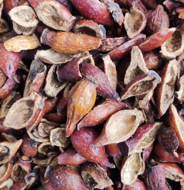 金樱肉中药材金樱子肉金英子肉金樱果肉金樱子开边金樱子