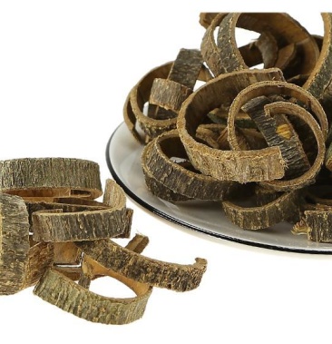 中药材 海桐皮 正品钉桐皮 鼓桐皮汤 丁皮 量大从优