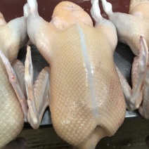 正品鸭肉无杂质支持拿样