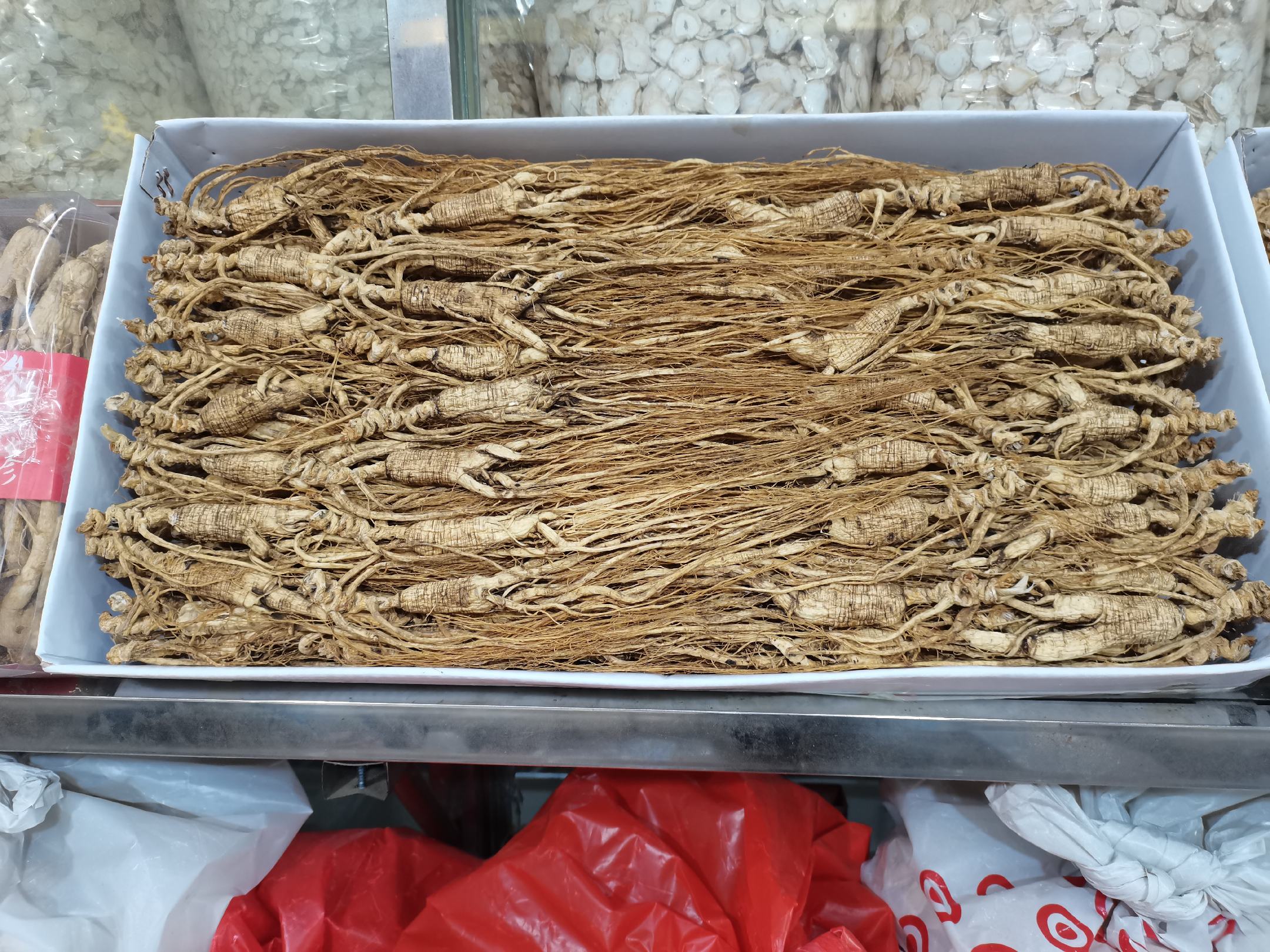 展示藏须参在长白山林下自然环境中的种植场景 长白山林下种植藏须参场景