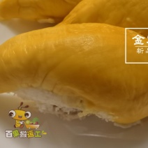 榴莲到海关，现货秒发，顺丰包邮！托曼尼，金蜜王，玛雅