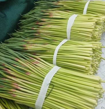 00元/斤 - 一亩田